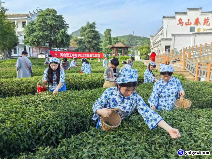 理工学子助力遇见毕昇•英山品茶赏花季活动