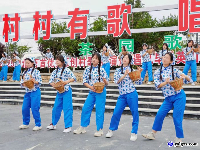理工学子助力遇见毕昇•英山品茶赏花季活动
