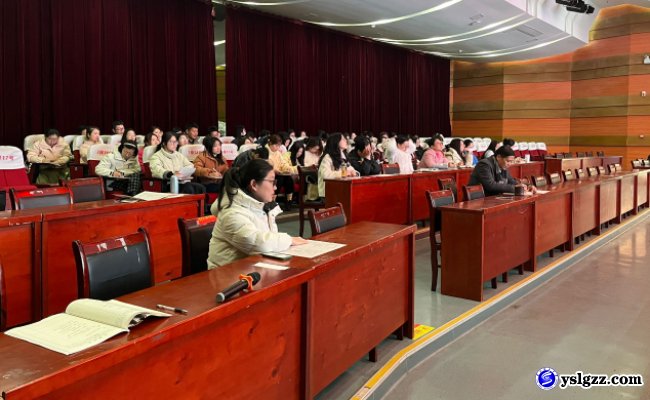 示范引领明方向，精准评议促提升