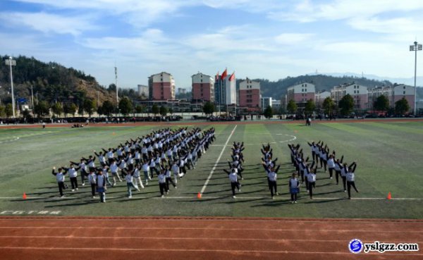 青春飞扬，拼搏赛场