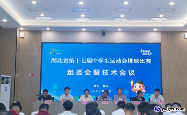 赛场逐梦创佳绩 排球少年绽芳华